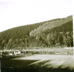Leichtathletik- Sportfest so um das Jahr 1955/56