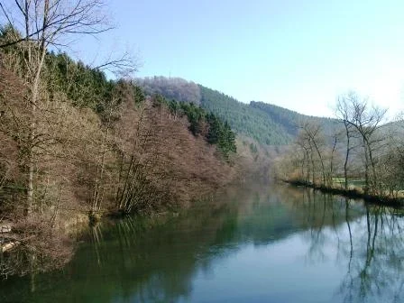Hier fließt friedlich die "Freienohler" Ruhr.