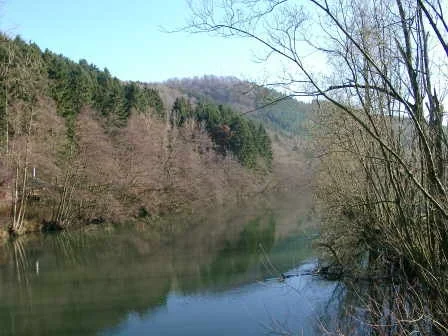Ruhr bei freienohl