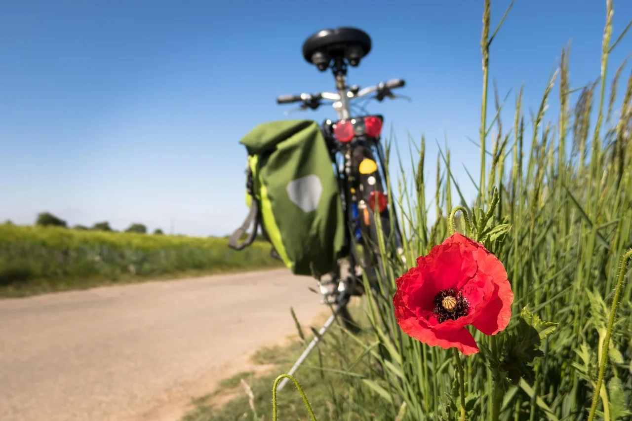 Abgestelltes Fahrrad neben einer Wiese mit Mohnblumen