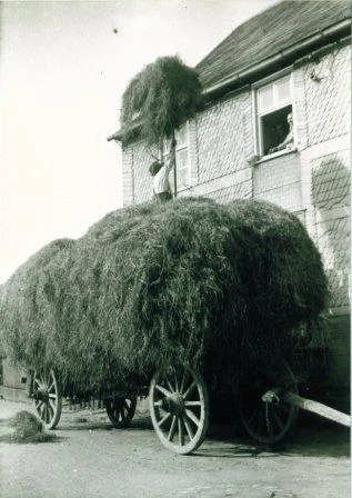 Ein Heuwagen wird entladen