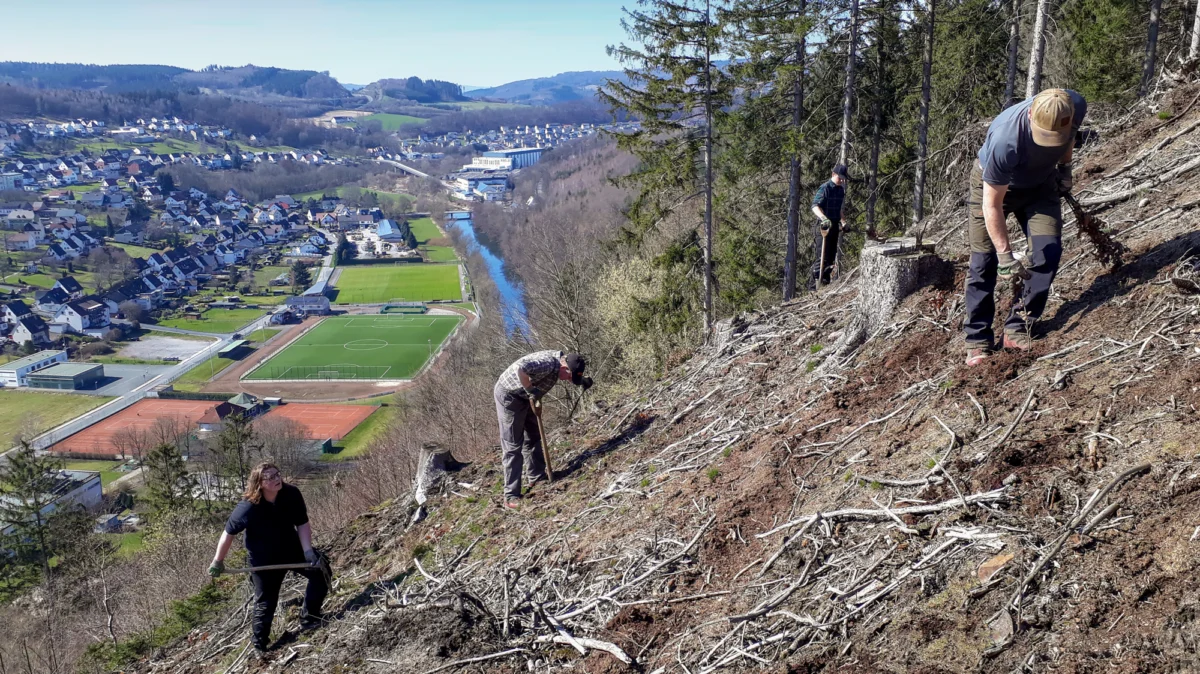 Klimawaldaktion der PCE Deutschland GmbH