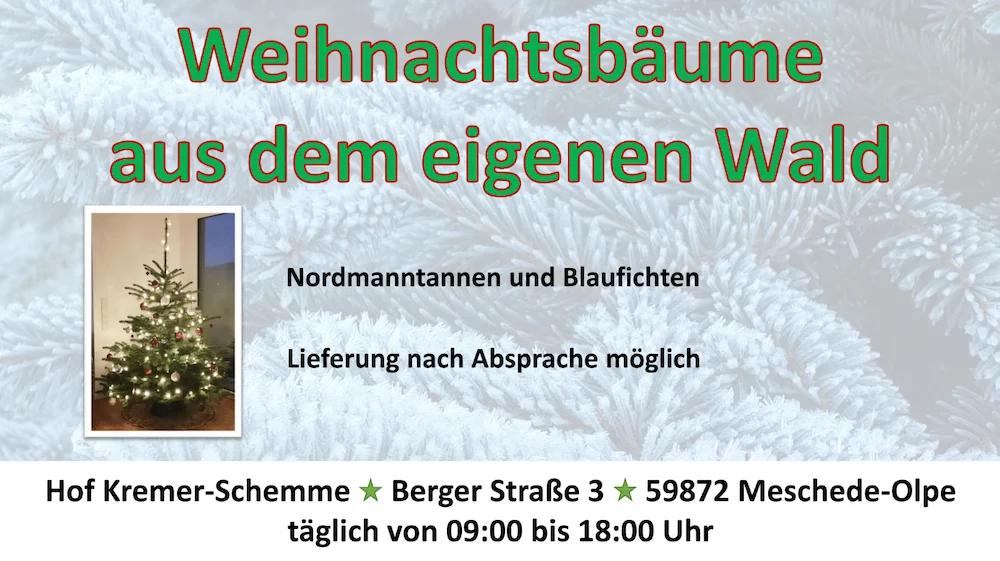 Weihnachtsbäume auf Schemmen Hof - Bäume aus dem eigenen Wald